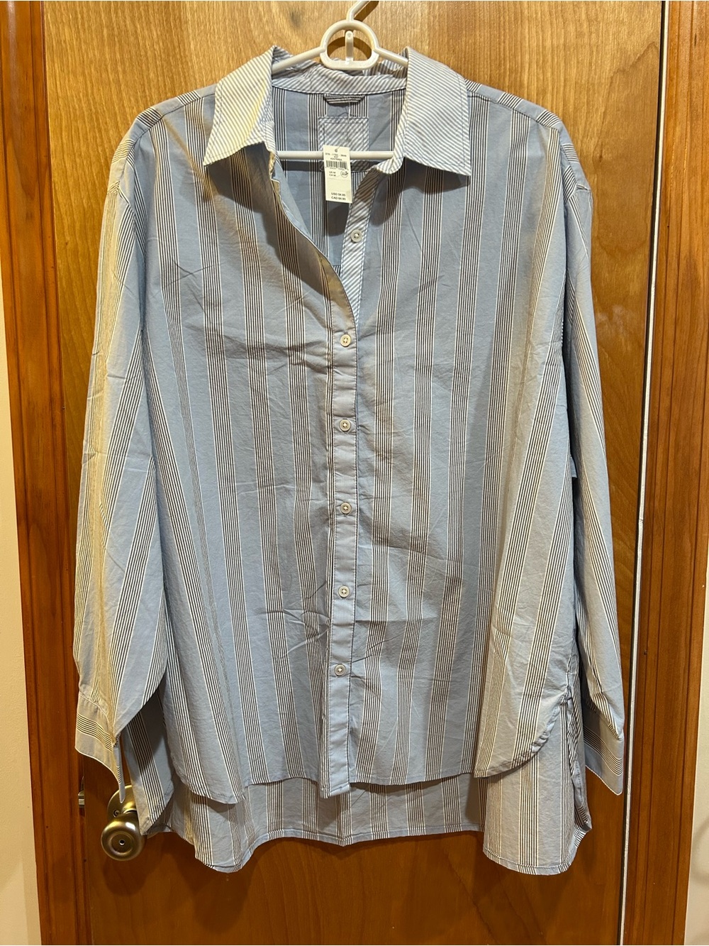 Aerie Women’s Size M Blue Striped Oversized Boyfriend Button Down Shirt NWTs
